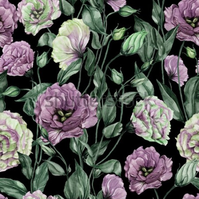 Canvas Mooie eustomabloemen (lisianthus) met bladeren en gesloten knoppen op zwarte achtergrond. Naadloos bloemenpatroon. Aquarel schilderij. Handgeschilderde botanische illustratie. Behang, textielontwerp.