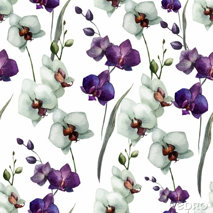 Canvas Mooie orchidee flower7