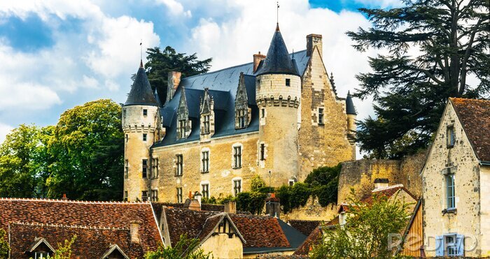 Canvas Mooie romantische kastelen van de Loire-vallei - Château Montresor. Frankrijk