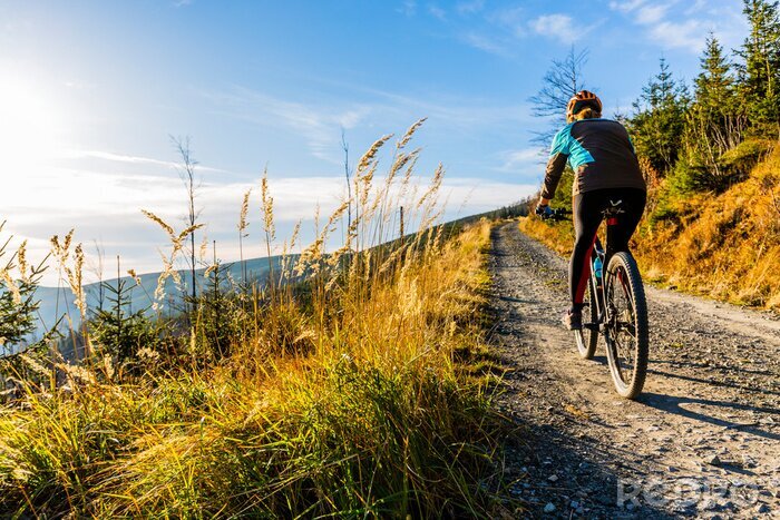 Canvas Mountain biking woman riding on bike in summer mountains forest landscape. Woman cycling MTB flow trail track. Outdoor sport activity.