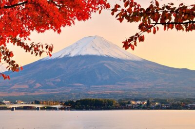 Canvas Mt. Fuji in de herfst