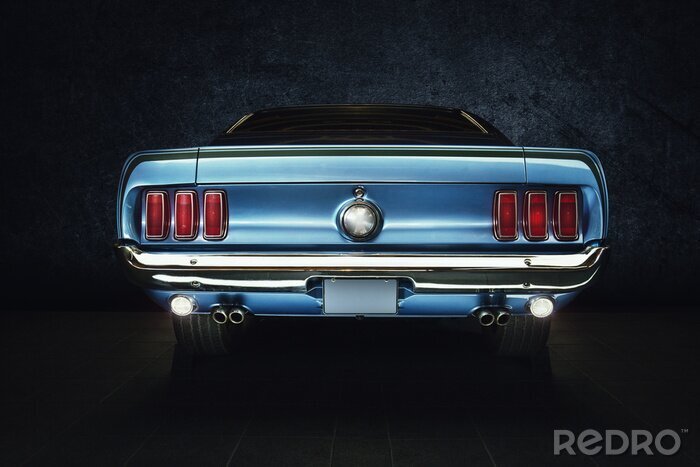 Canvas Mustang in het blauw