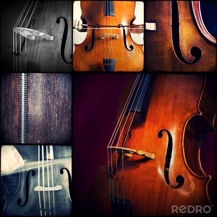 Canvas Muziek en contrabas