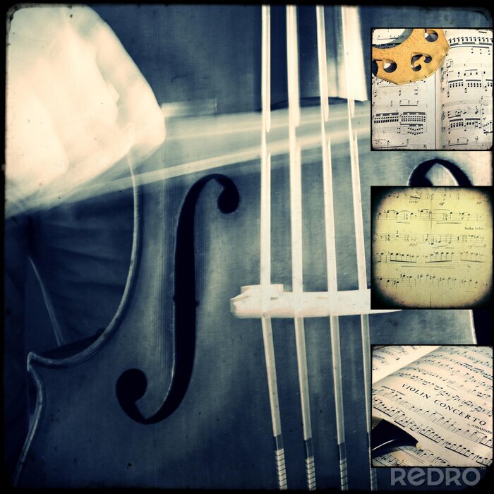 Canvas Muziekcollage met viool