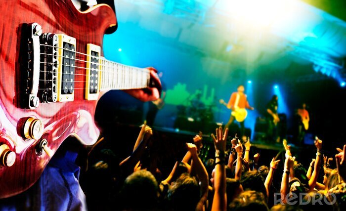 Canvas Muziekconcert