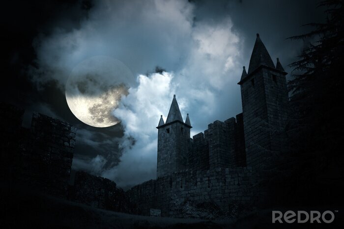 Canvas Mysterieus middeleeuws kasteel