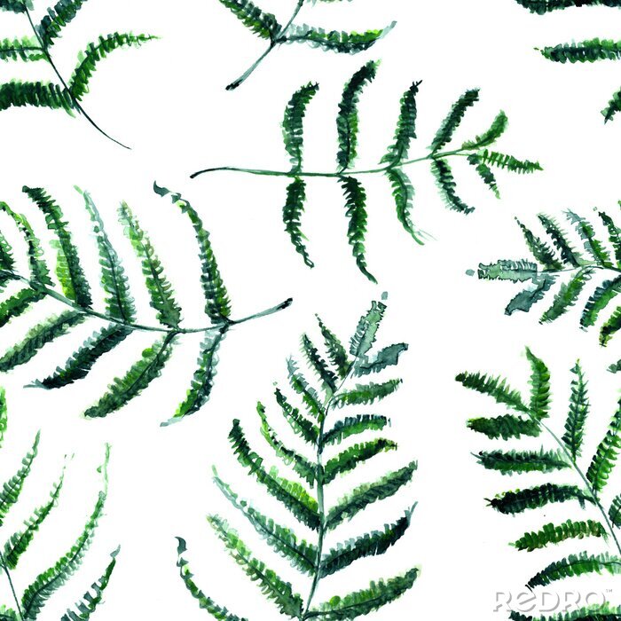 Canvas Naadloze realistische aquarel groen patroon. Hand getrokken Fern bladeren en takken afdrukken. Zomer, lente bos kruiden, planten textuur. Gebladerte in vintage stijl. Natuur Eco vriendelijke Concept. 