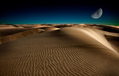 Canvas Nacht in de woestijn