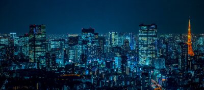 Nachtelijk panorama van Tokio