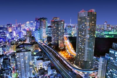Nachtelijk Tokio aan de skyline