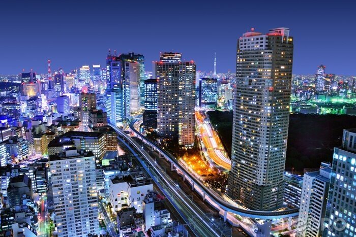 Canvas Nachtelijk Tokio aan de skyline