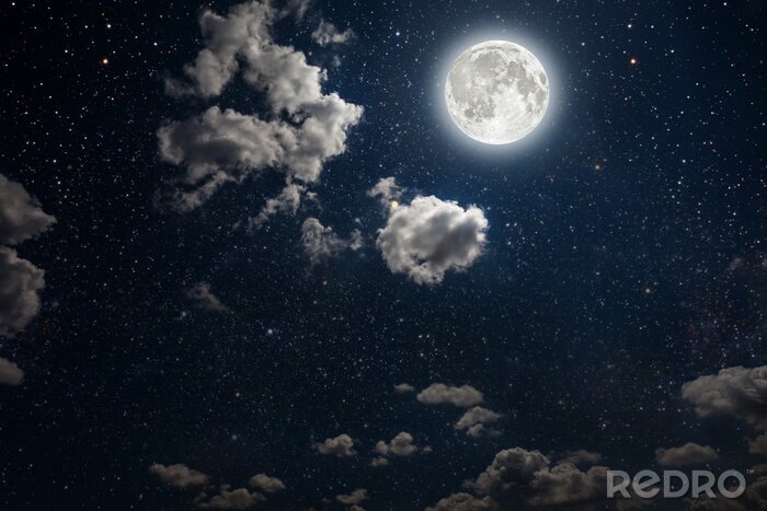 Canvas Nachtelijke hemel met sterren en volle maan