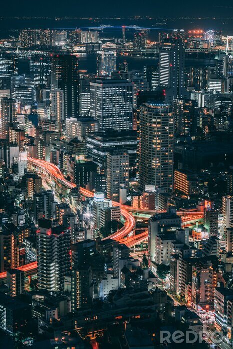 Canvas Nachtzicht op de stad Tokio