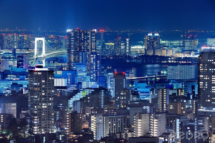 Canvas Nachtzicht van Tokio
