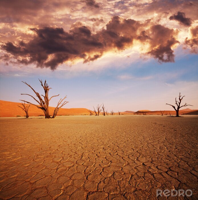 Canvas Namib woestijnlandschap