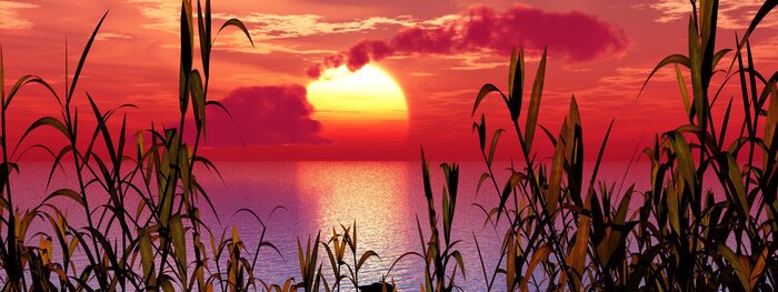 Canvas Natuur bij zonsopgang