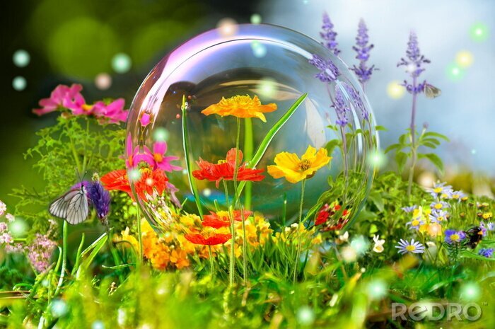 Canvas Natuur en landschappen van een kleurrijke weide