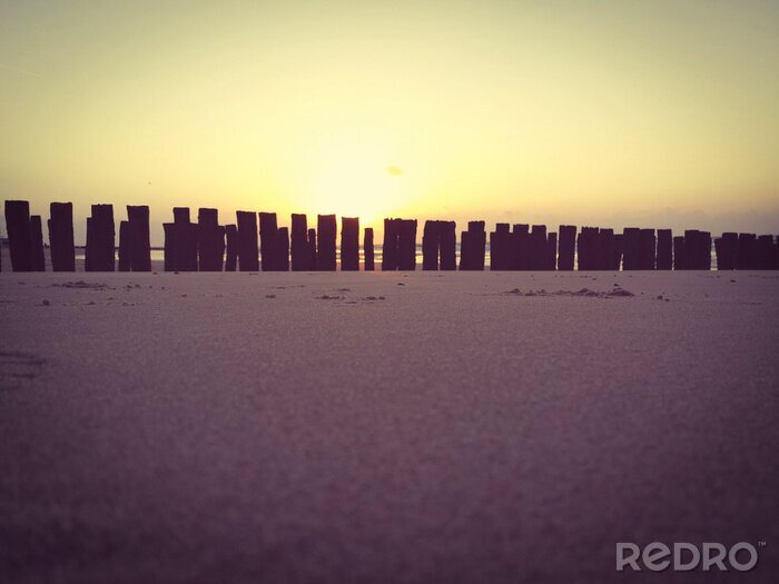 Canvas Natuur en zonsondergang