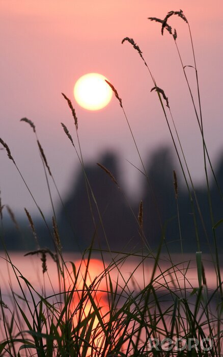 Canvas Natuur en zonsondergang