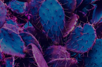 Canvas Neon cactussen