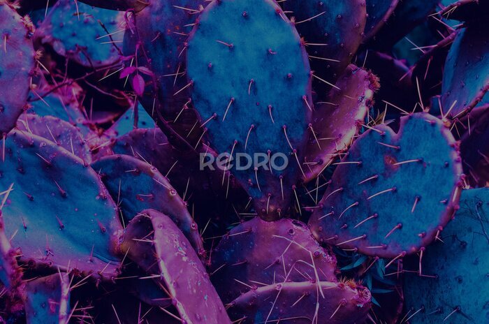 Canvas Neon cactussen