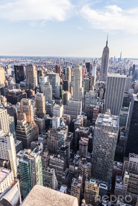 Canvas New York dall'alto