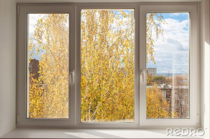 Canvas Nieuwe witte venster overziet herfst geel bomen