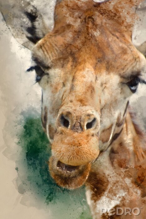 Canvas Nieuwsgierige giraf