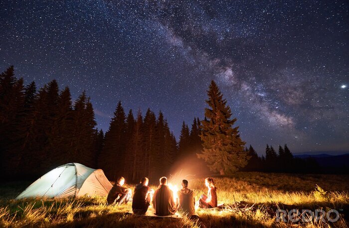Canvas Night summer camping in the mountains, spruce forest on background, sky with stars and milky way. Back view group of five tourists having a rest together around campfire, enjoying fresh air near tent.