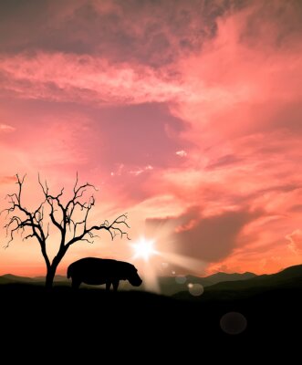 Canvas Nijlpaard silhouet
