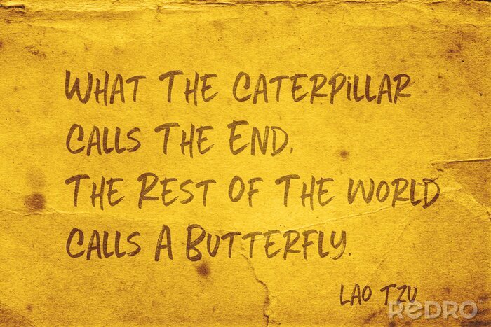 Canvas noemt een vlinder Lao Tzu