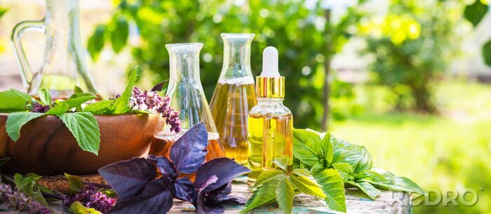 Canvas Oil for skin care, massage from natural ingredients, herbs, mint in glass jars and test tubes on a green background in the garden on the nature, natural cosmetics