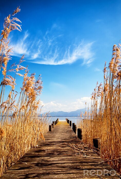 Canvas Old wooden jetty