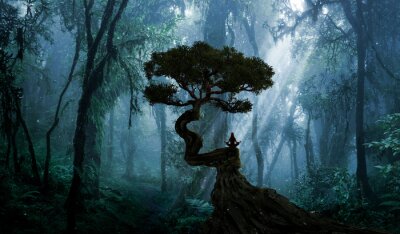 Ontwerp van meditatie in een bos