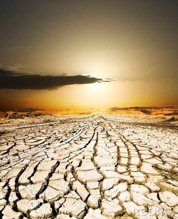 Canvas Opgedroogde zandweg