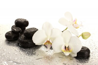 Orchideeën spa stenen en waterdruppels