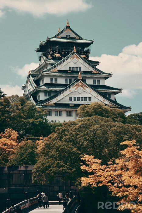 Canvas Osaka Castle