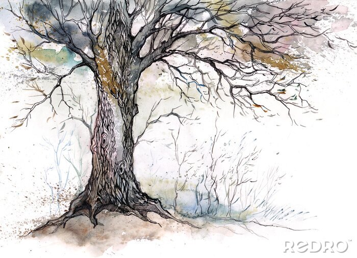 Canvas oude boom