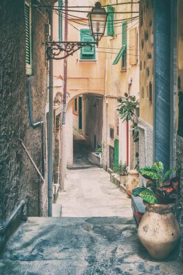 Canvas Oude straat in Riomaggiore, Cinque Terre Italië.