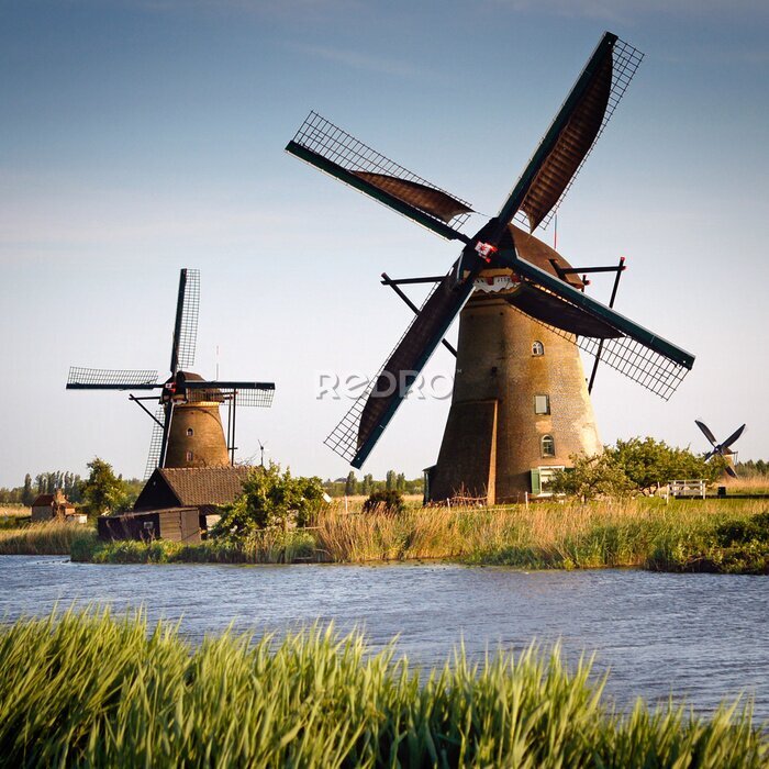Canvas Oude windmolens in Nederland