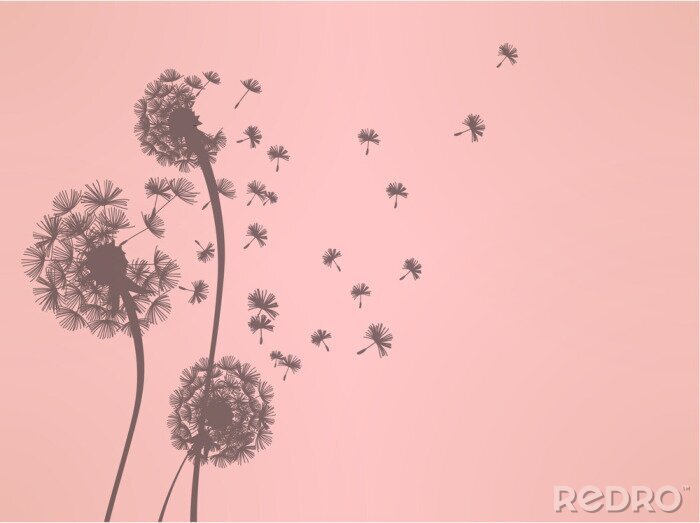 Canvas Paardenbloem en zaden in roze tinten