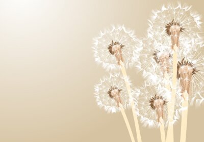 Paardenbloemen in beige kleuren