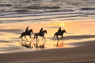 Canvas Paardrijden op het strand