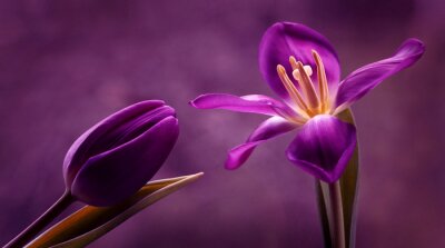 Paarse bloemen en paarse setting