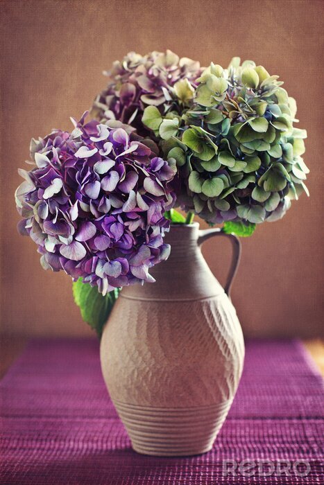 Canvas paarse hortensia bloemen in een oude klei pot.
