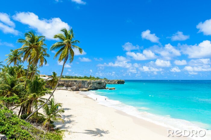 Canvas Palmbomen en stranden in Barbados