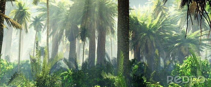 Canvas Palmbomen in de jungle