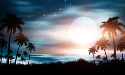 Palmbomen op de achtergrond van de nachtelijke hemel