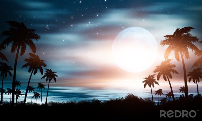 Canvas Palmbomen op de achtergrond van de nachtelijke hemel