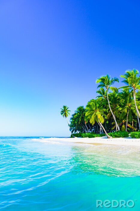 Canvas Palmbomen op een eiland